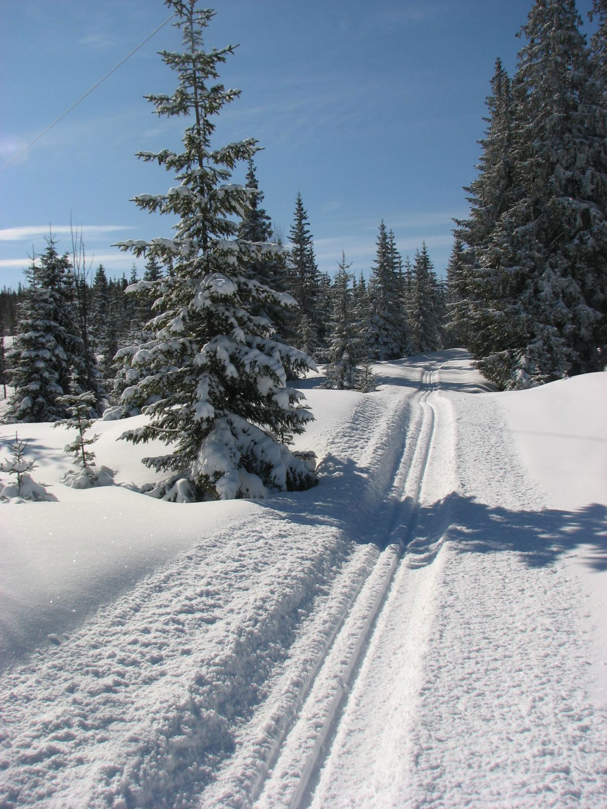 Parti fra Panoramaløypa