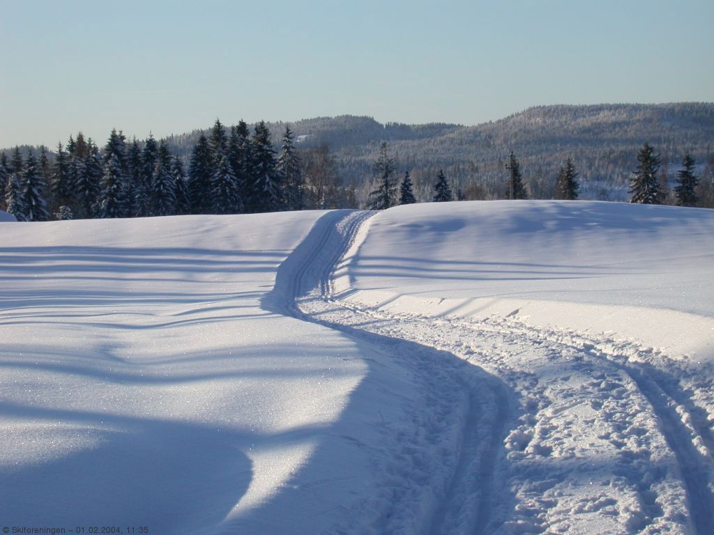 Parti fra Rypejordene i Vestmarka