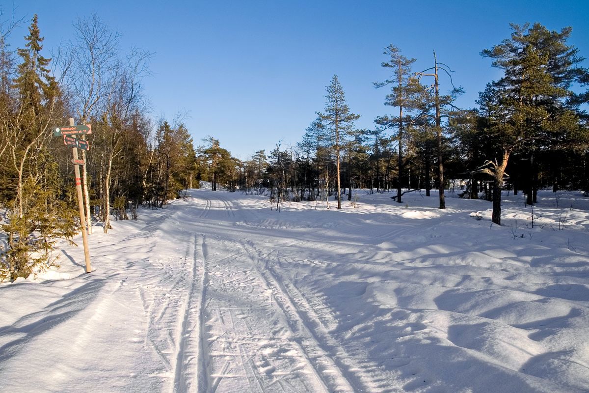 Parti mellom Frøshaug og Helvetesmyra