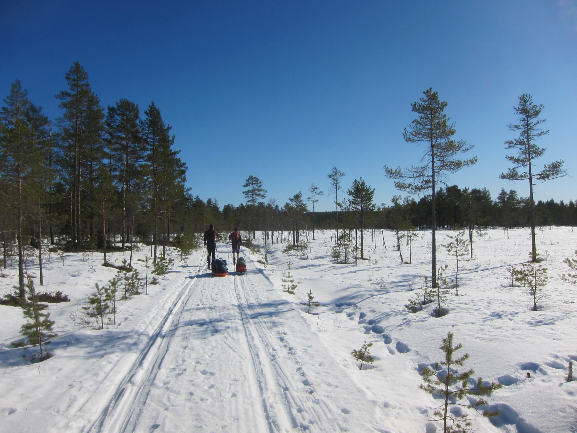 Påskeforhold på Flekkrøymyra