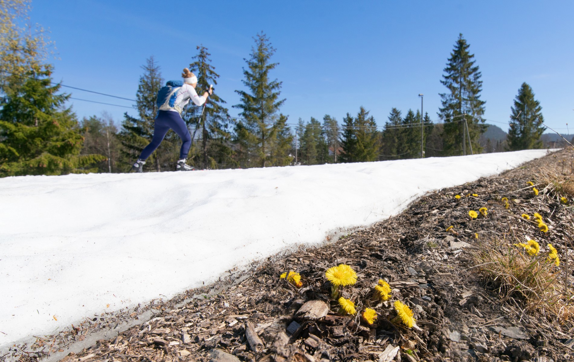 Påskestemning i Eineåsen