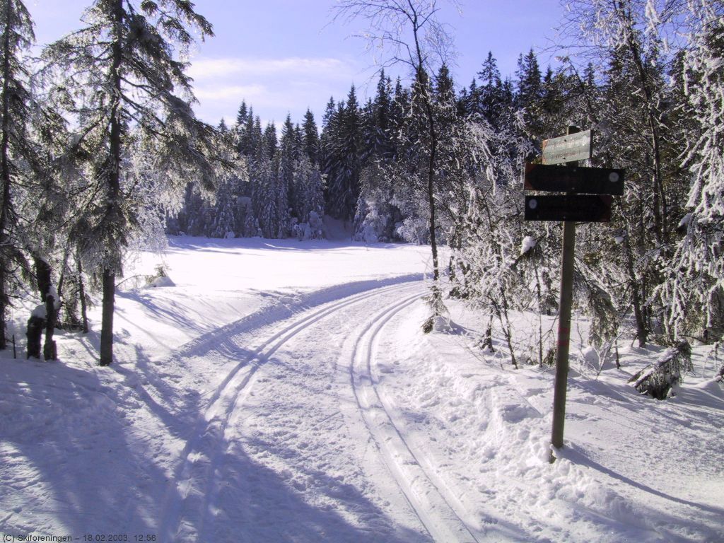 Påskestemning i Marka v. Ringeriksflaka