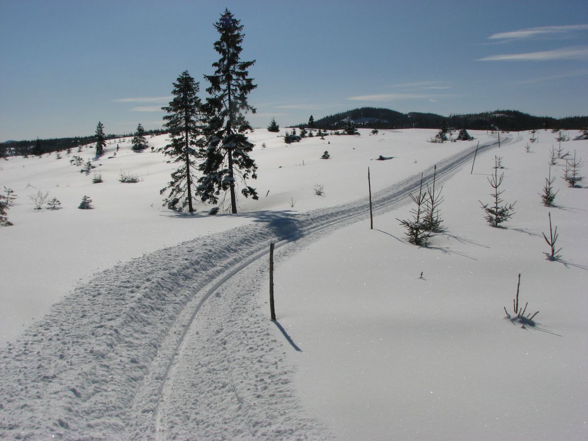 Påskestemning over Korssæterhaugen