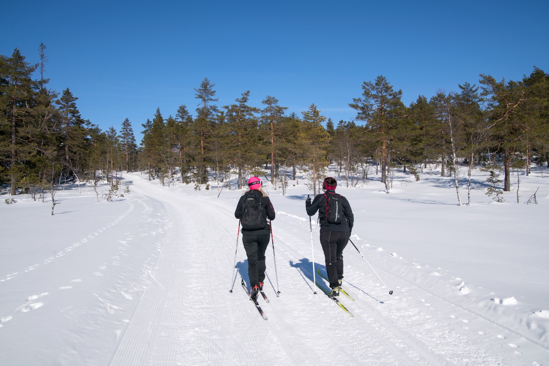 Påsketur over Vardåsen
