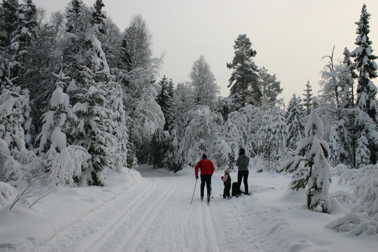 Pause - og full fart