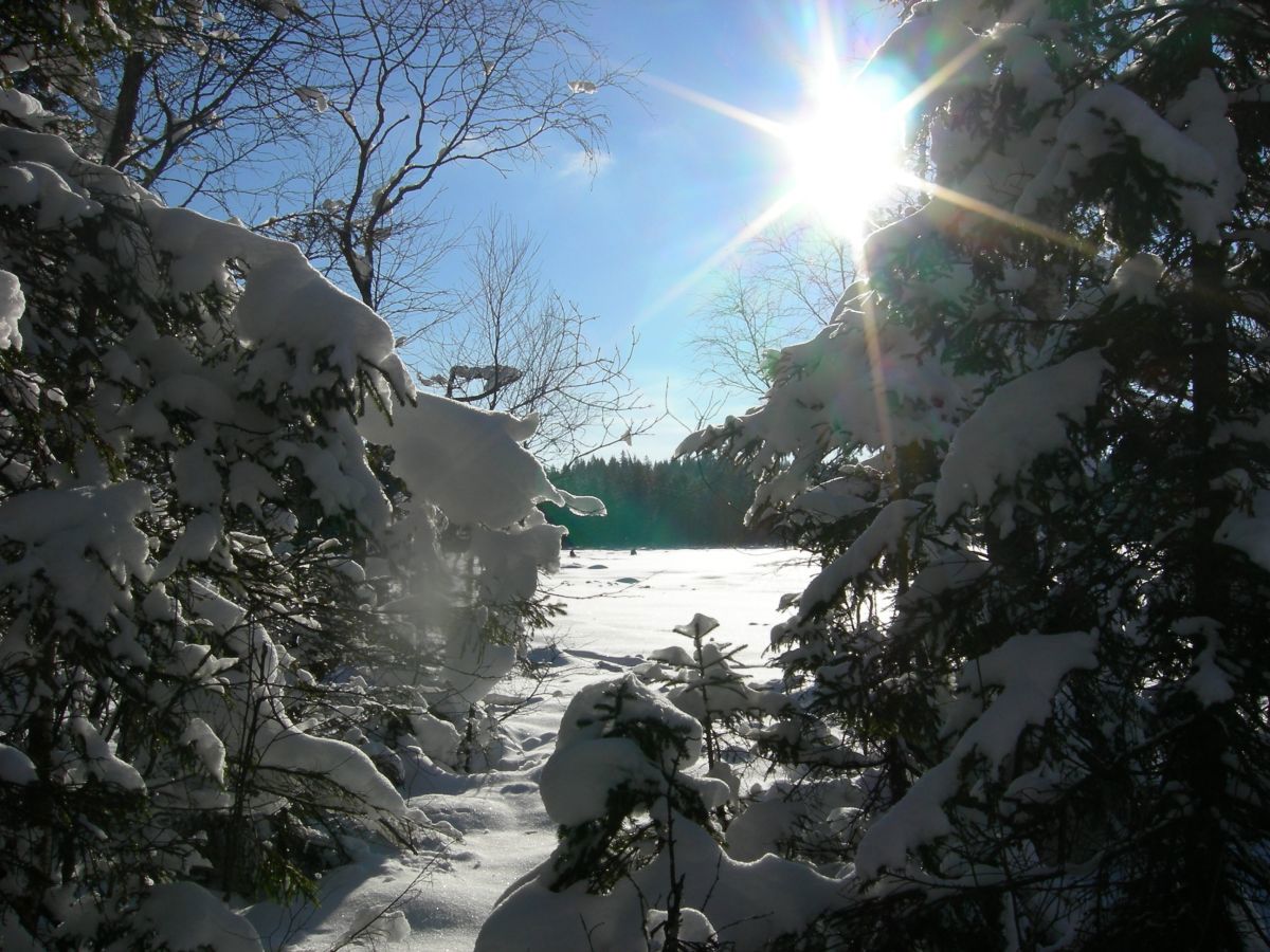 Pilkere på Heggsjø