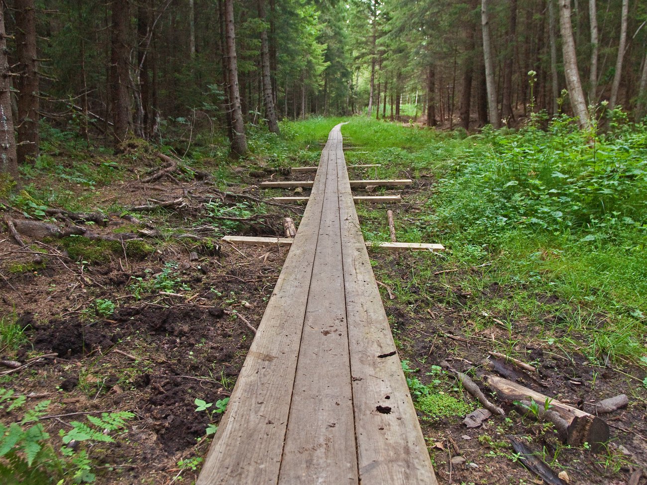 Planker over myrene