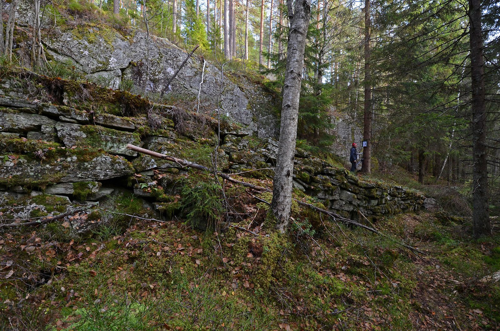 Plankeveien nordøst ved Kruggmyr