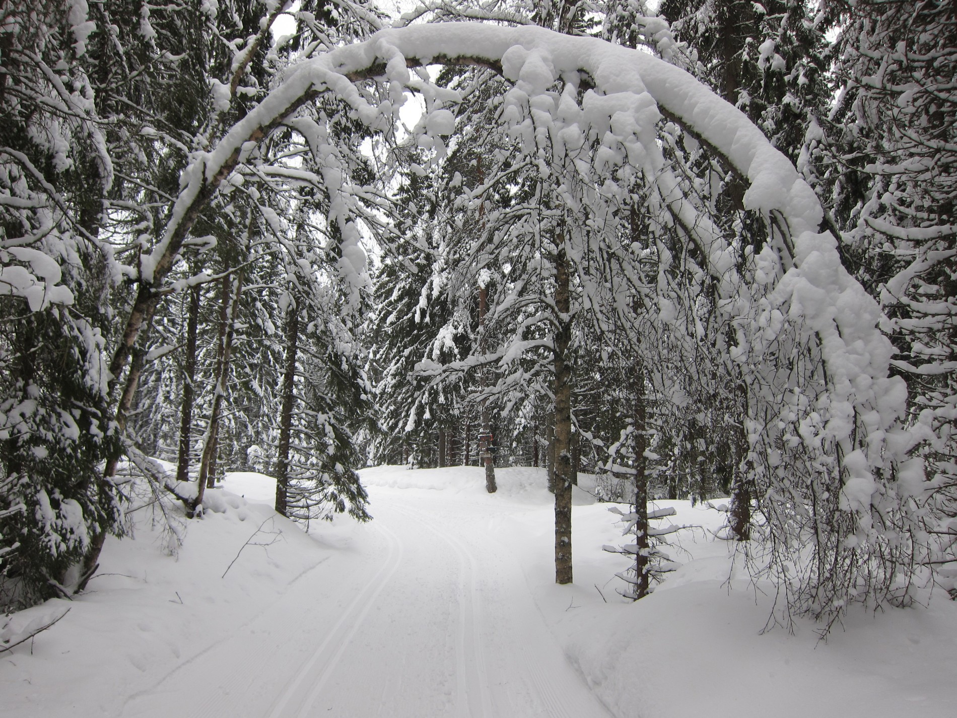 Portalen til Skillebekk