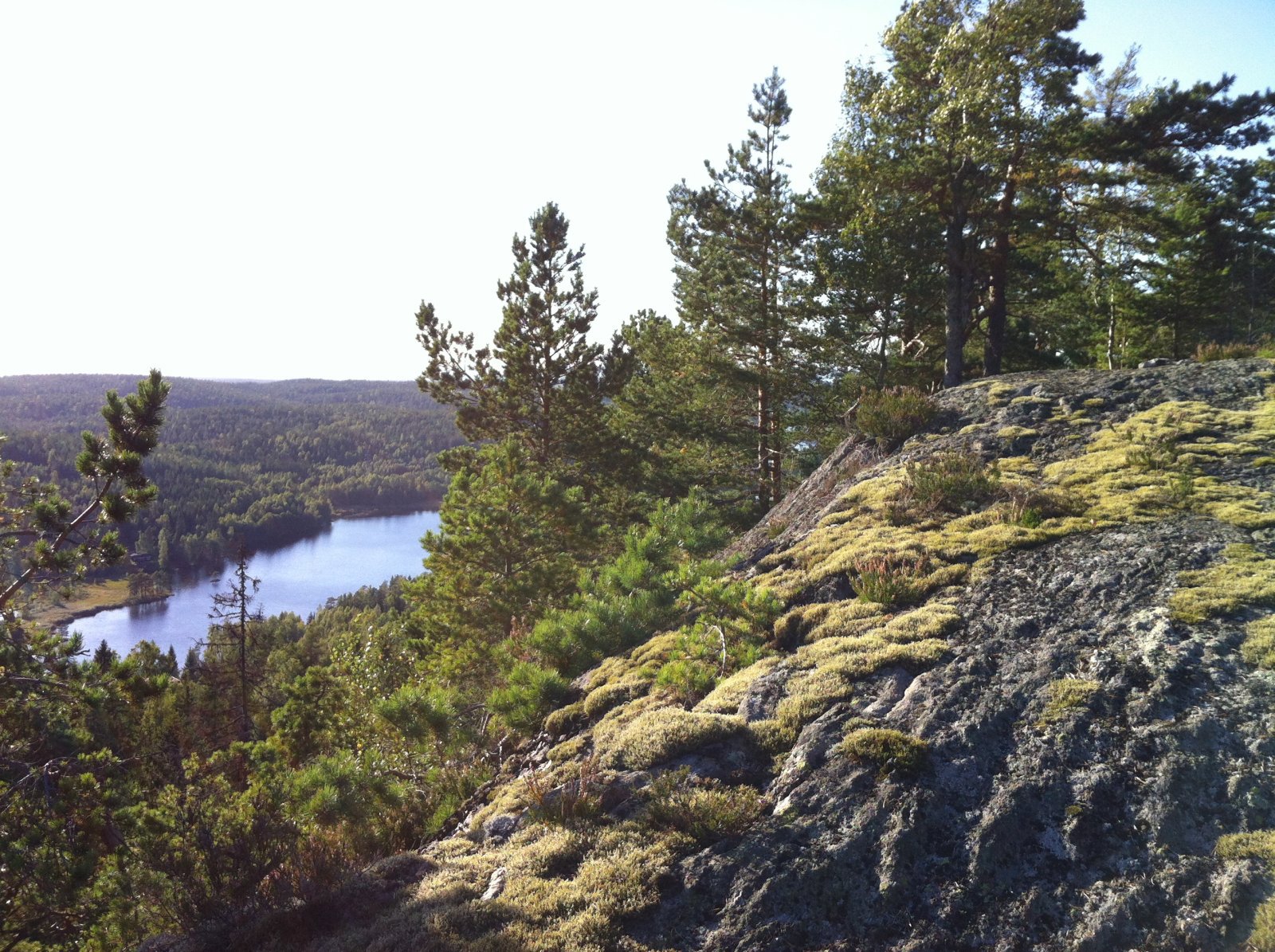 Post 48 «Syd på Andersrudåsen»