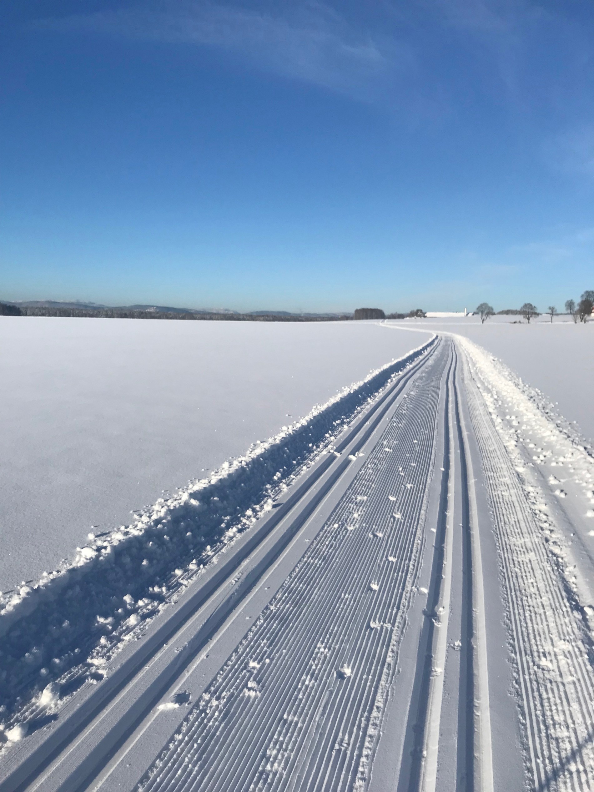 Praktspor på Steinssletta
