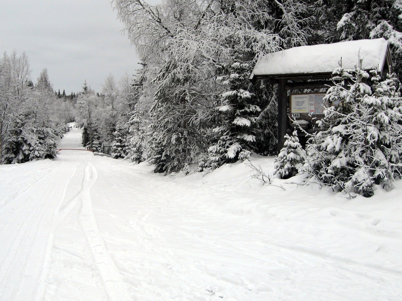 Preppa fra Veset i dag