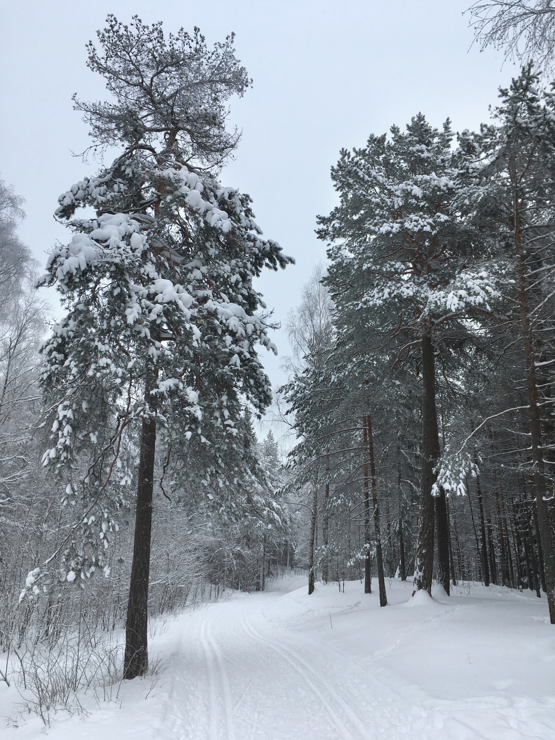 Preppet, i god stand