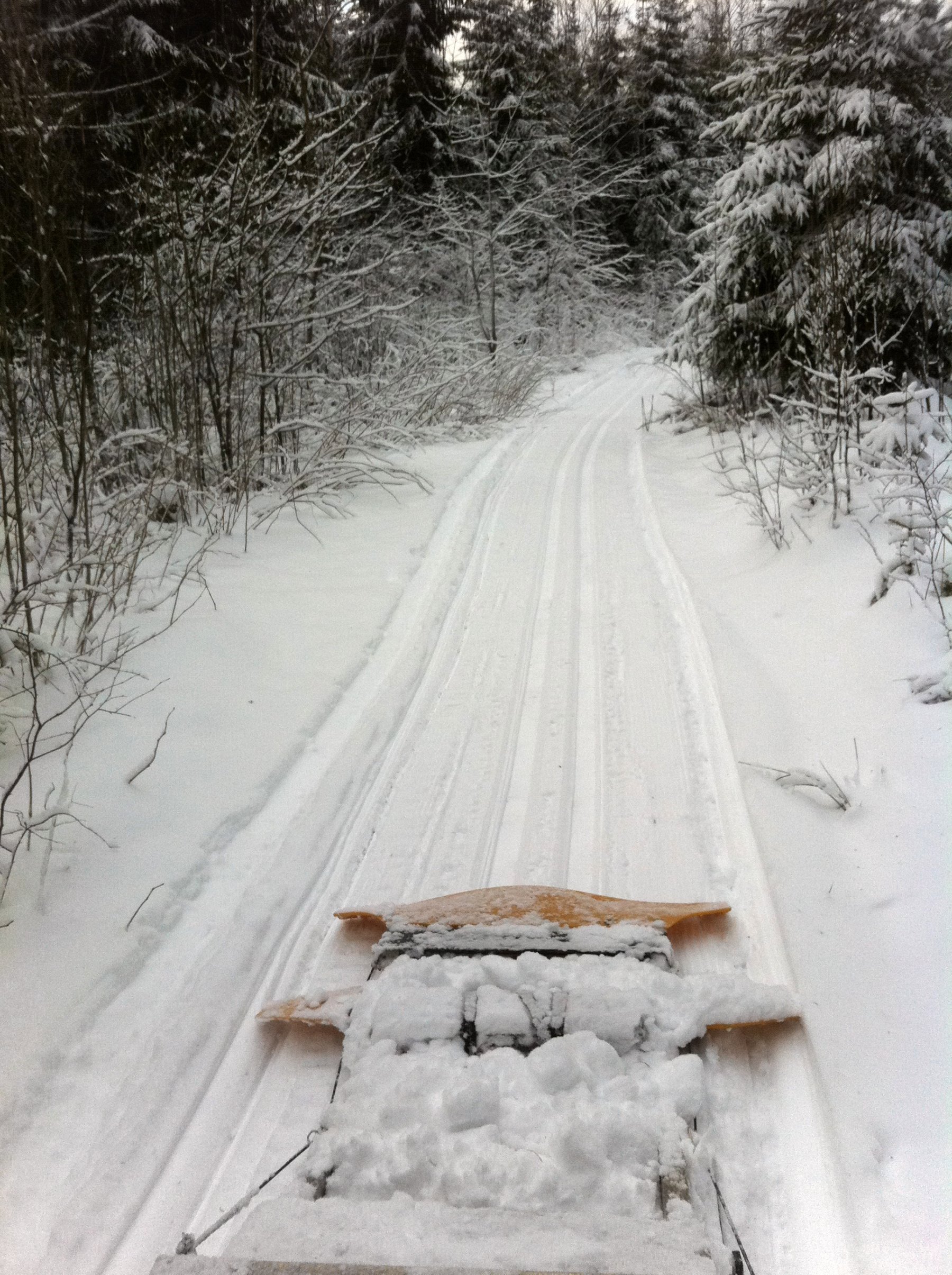 Prepping i Sole skog