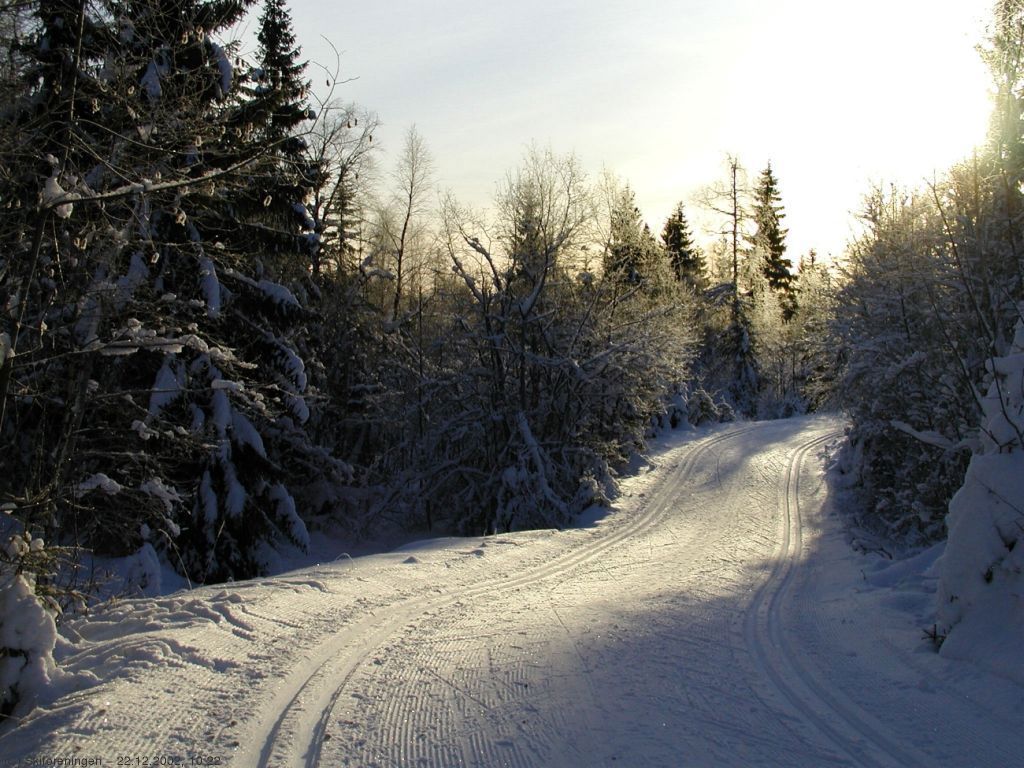 Prima løyper langs Djupdalsveien