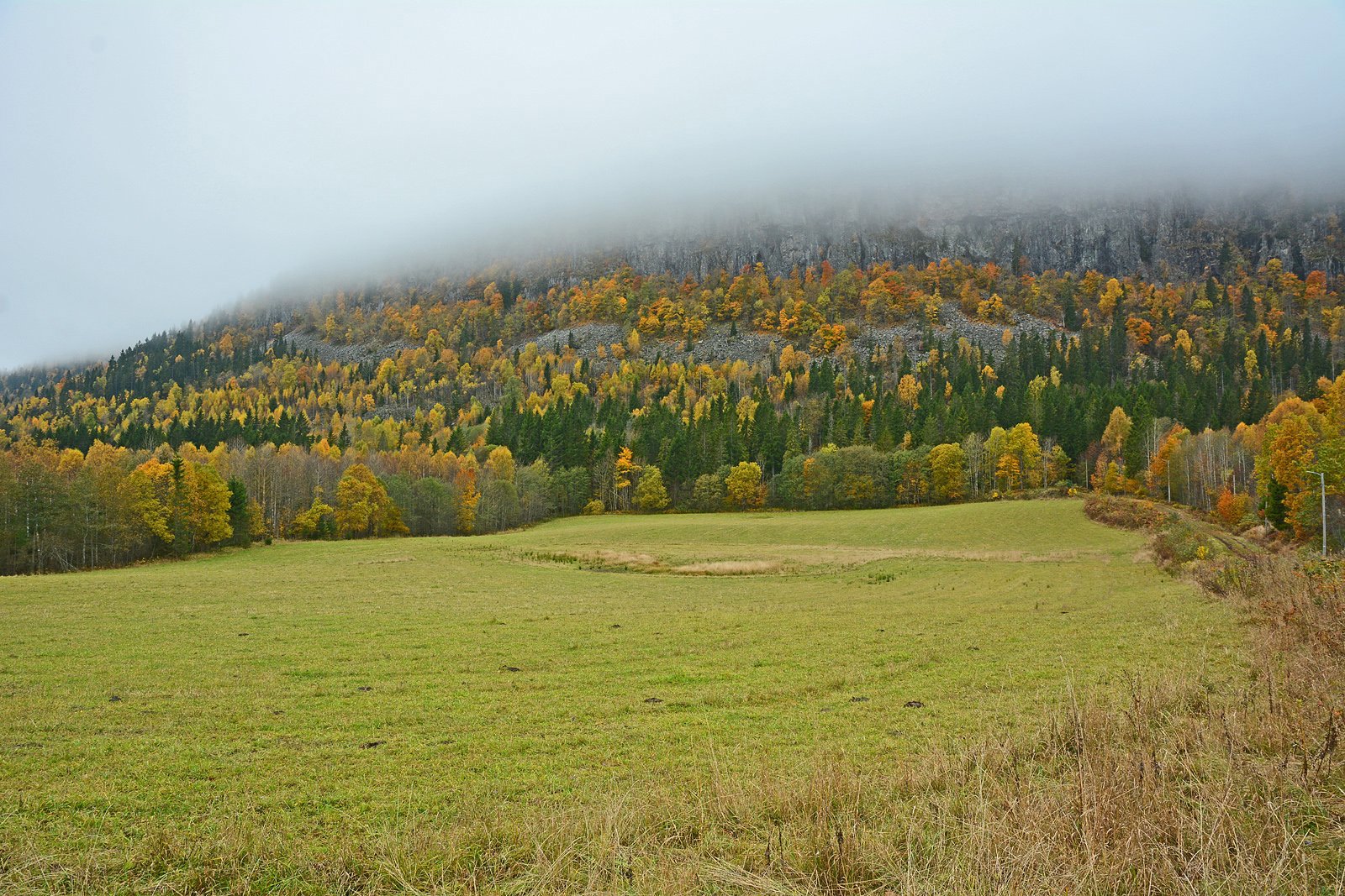 Ramsåsen med tåkehatt sett fra Jordbru