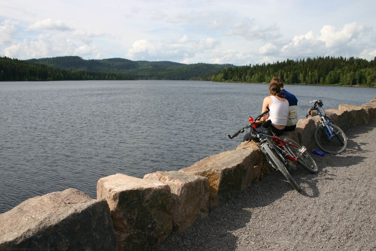 Rast på Ørfiskedemningen