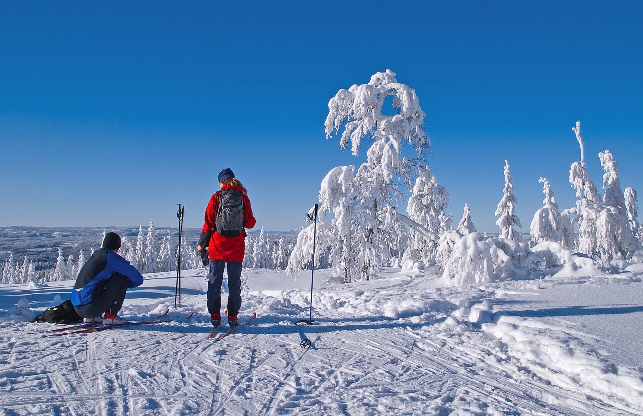Rast på Vidvangshøgda