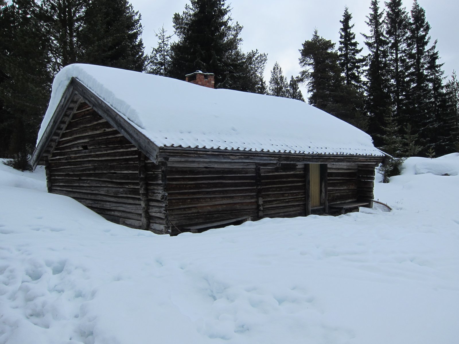 Rastemulighet ved Laupendsætra