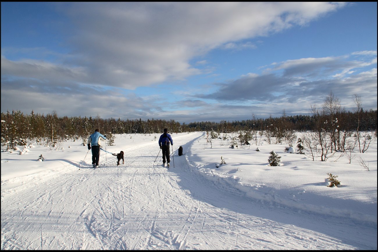 Rasteplass på Rødgardsmyra