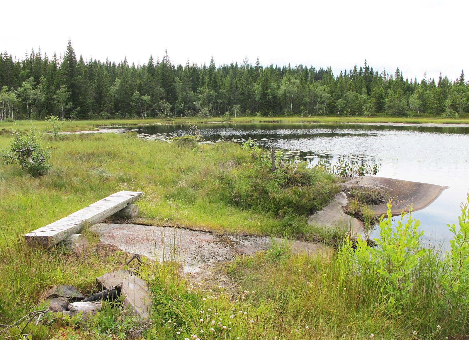 Rasteplass ved Bakkholtjern