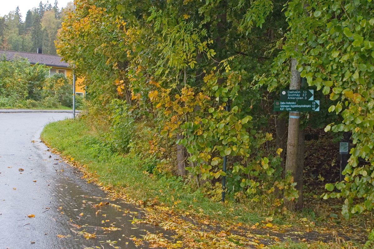 Regnfull høstdag ved Valler