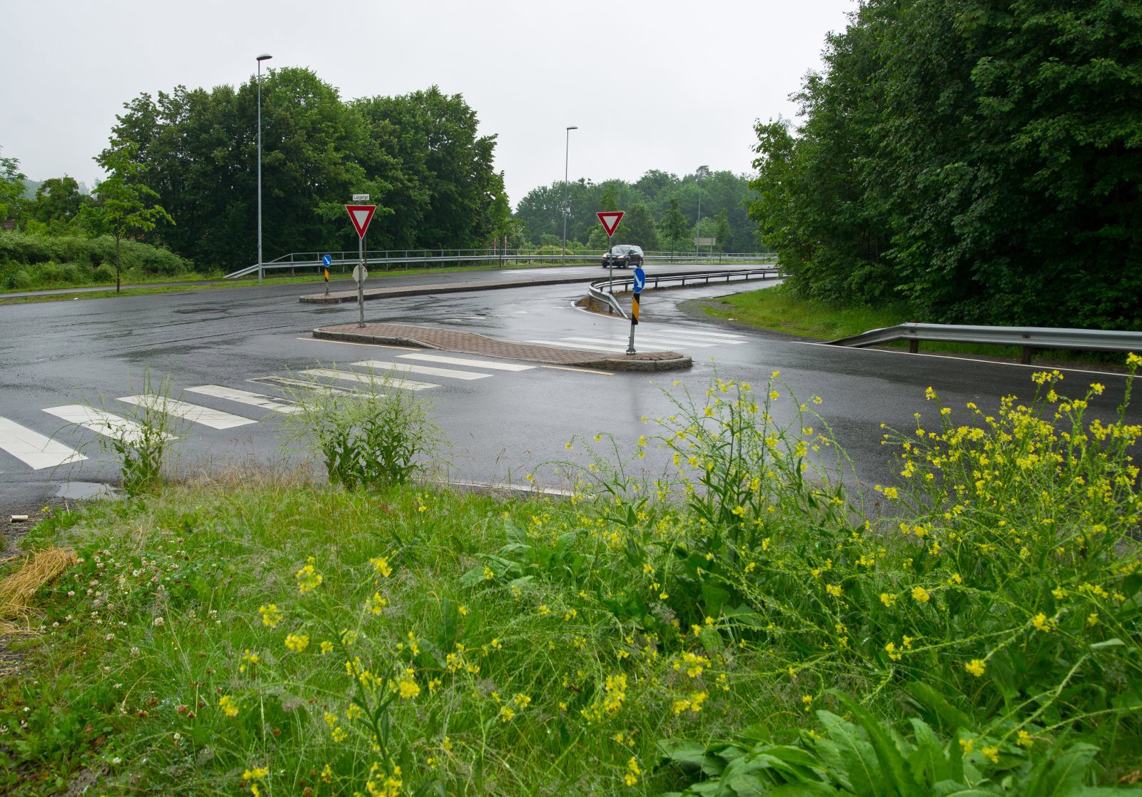 Regntung dag på Vettre
