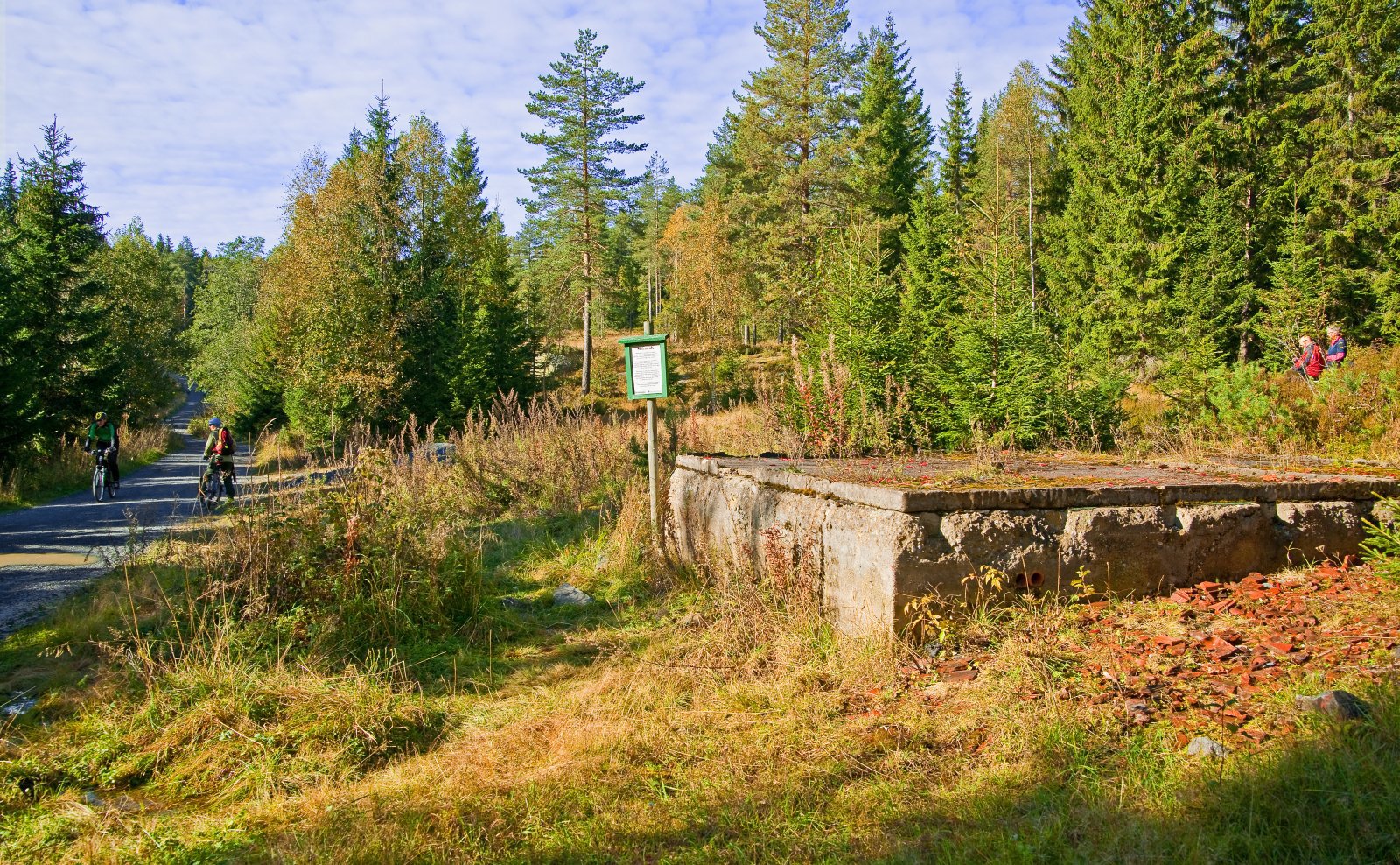 Restene av Skillebekkhytta