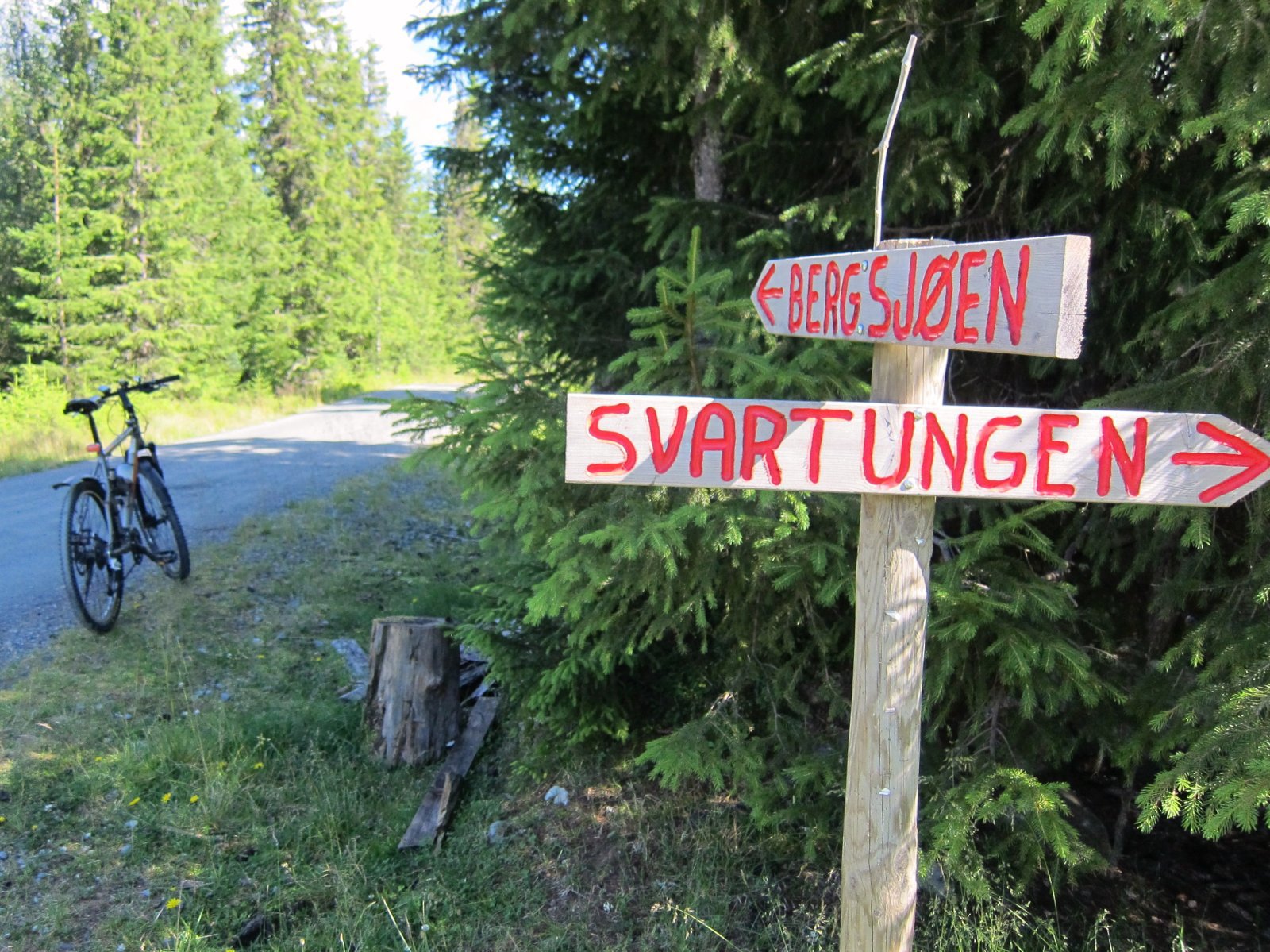 Retningsvisere ved Lønsjøen