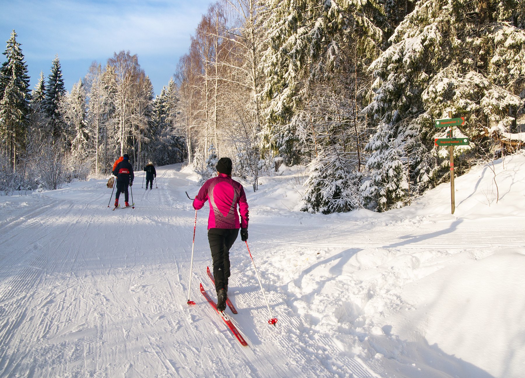 Rett frem i første kryss