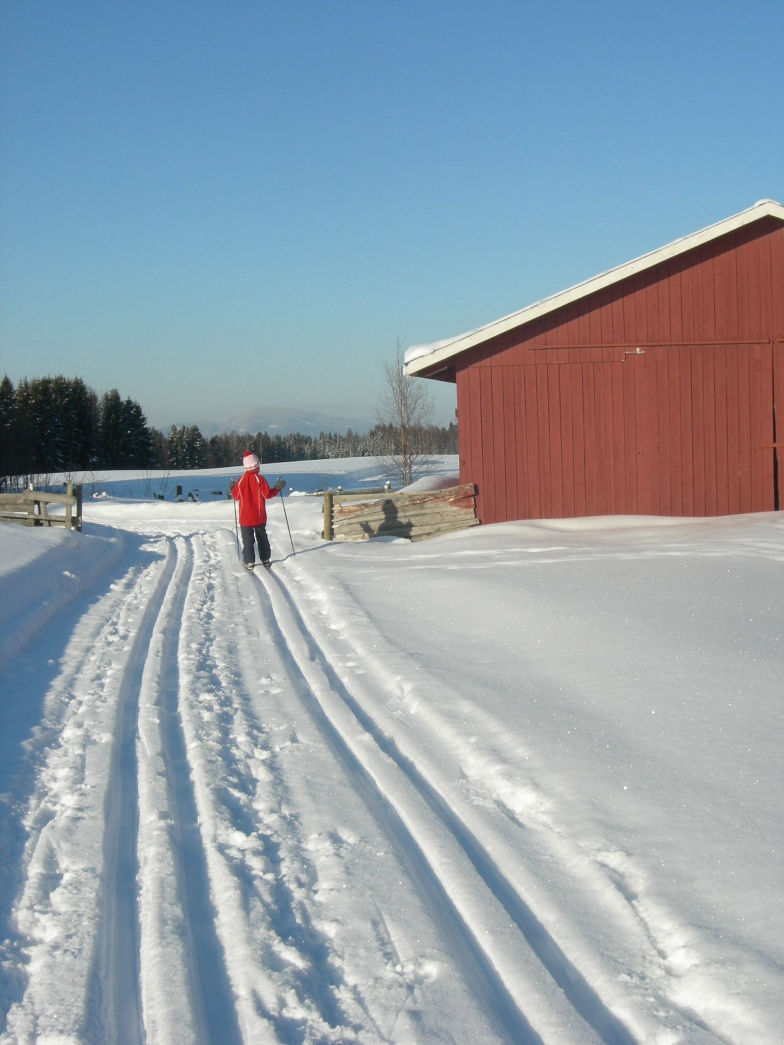 Rett frem mot Svangerudenga