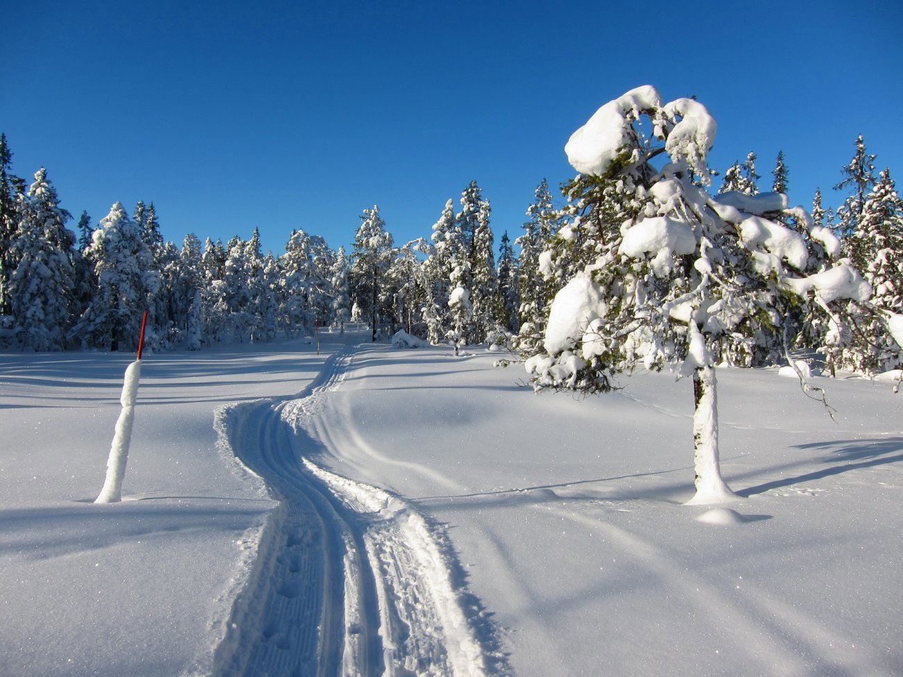 Rett og slett drømmeforhold