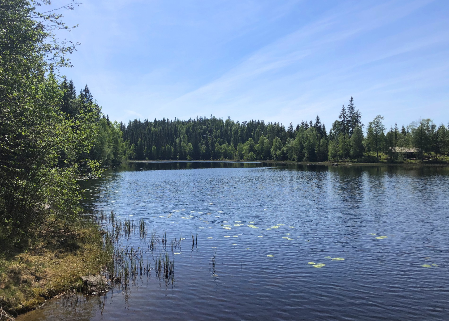 Retthelltjern en dag i mai