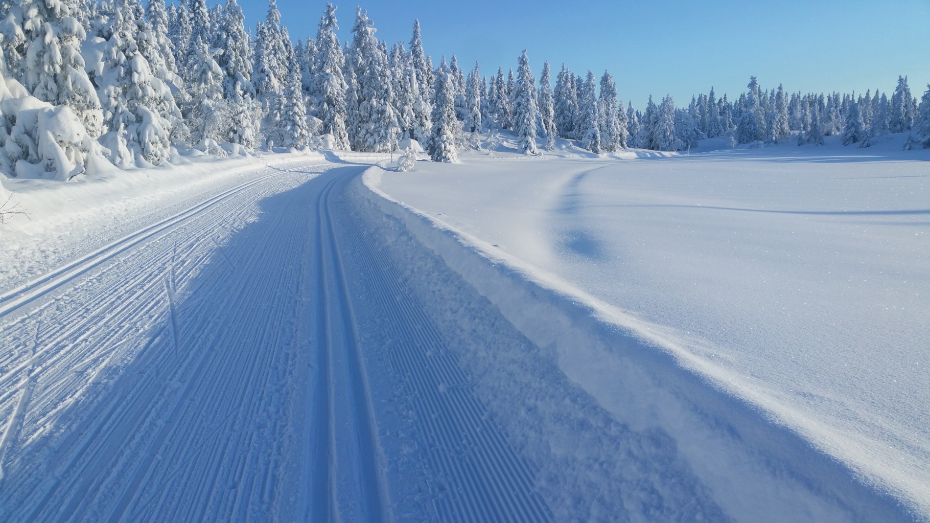 Rikelig med snø på Totenåsen