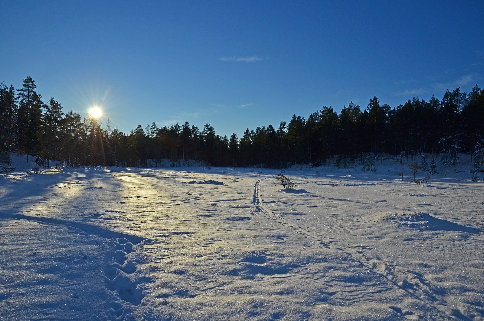 Rimete skispor på Fuglemyr