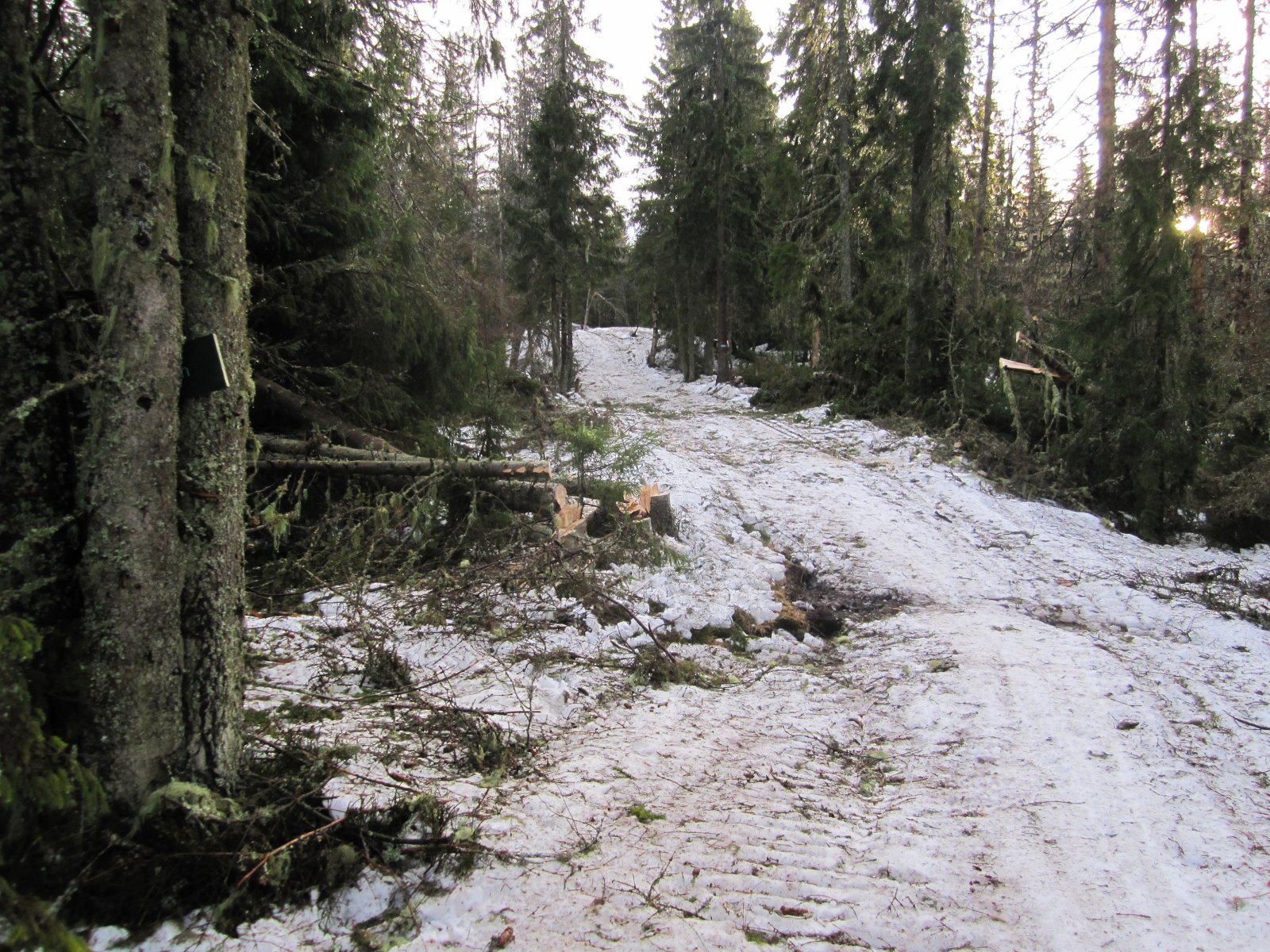 Ringivollen etter uværet