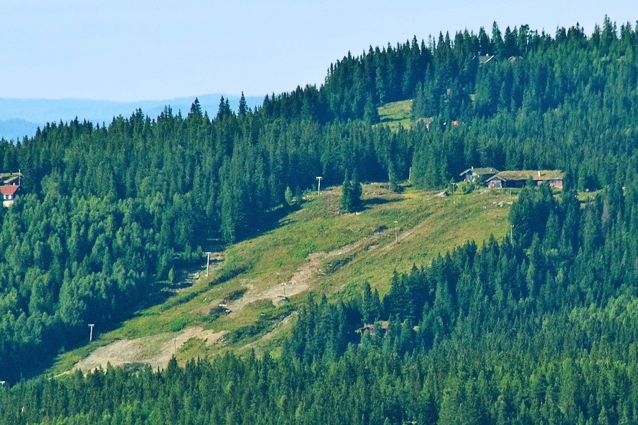 Ringkollstua i kikkerten