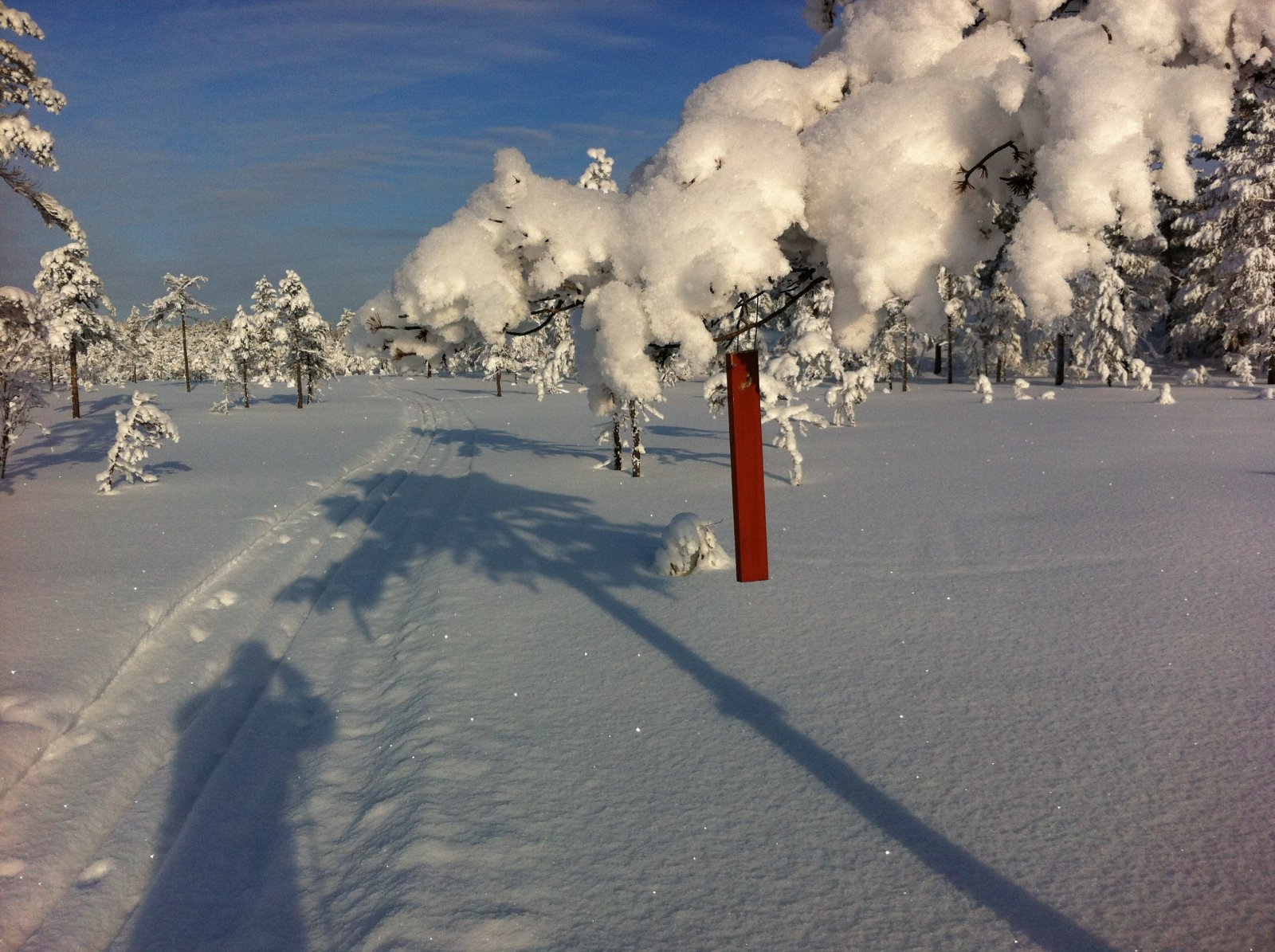 Rødt hvitt og blått