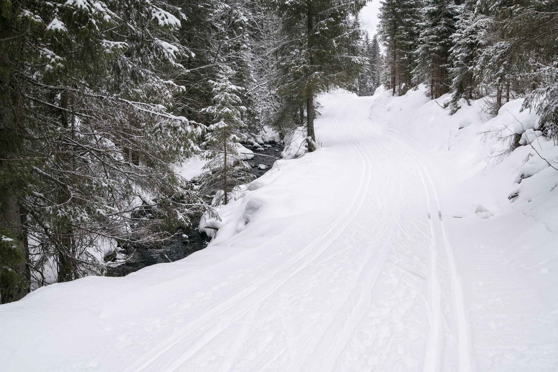 Rolig langs Abborvannsbekken