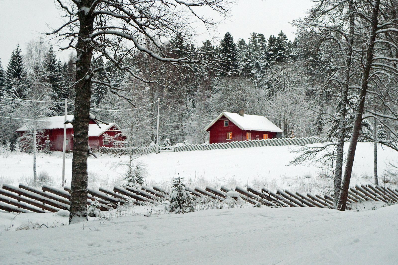 Romjulsstemning på Øgården
