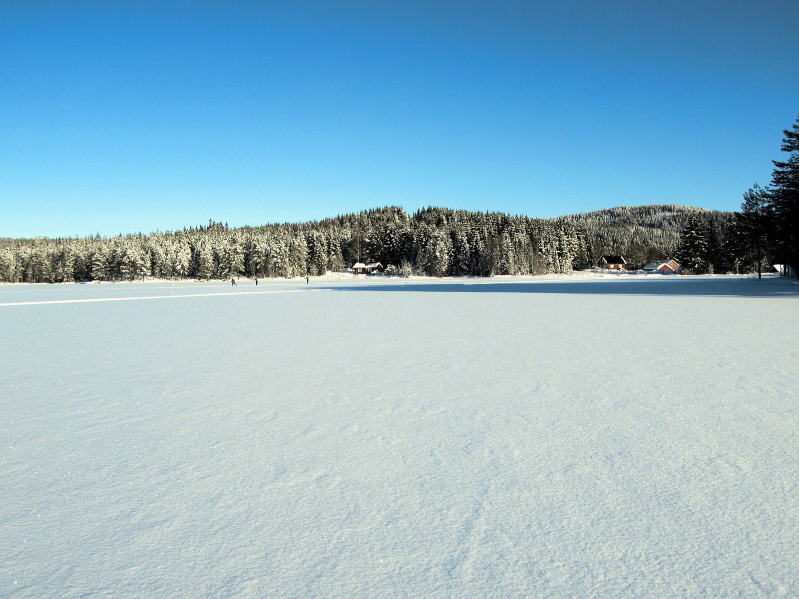 Rottungen badet i sol