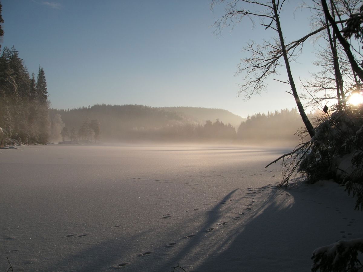 Røyrivann med Tonekollen i bakgrunnen