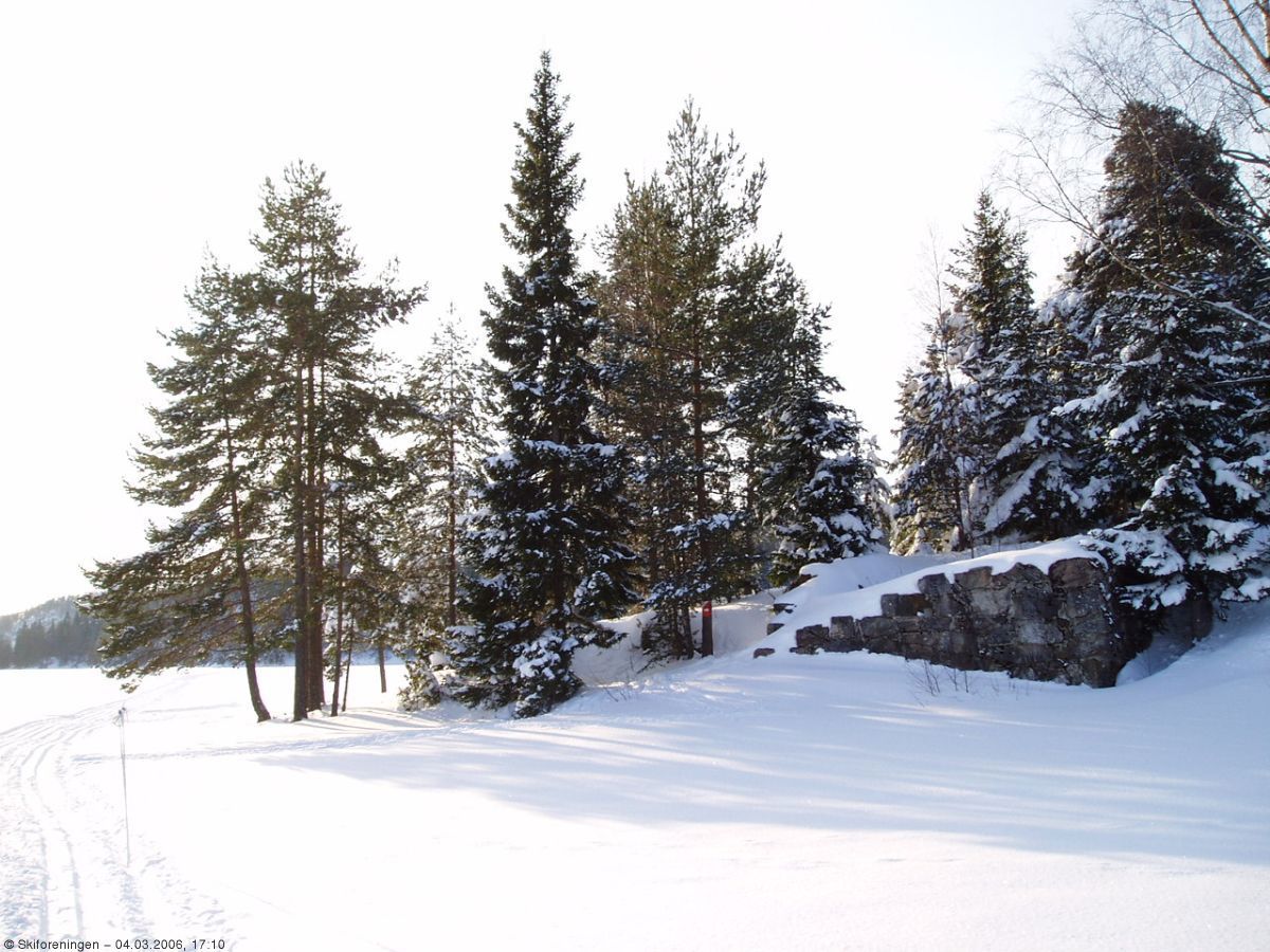 Ruinene ved Huldreheim titter frem