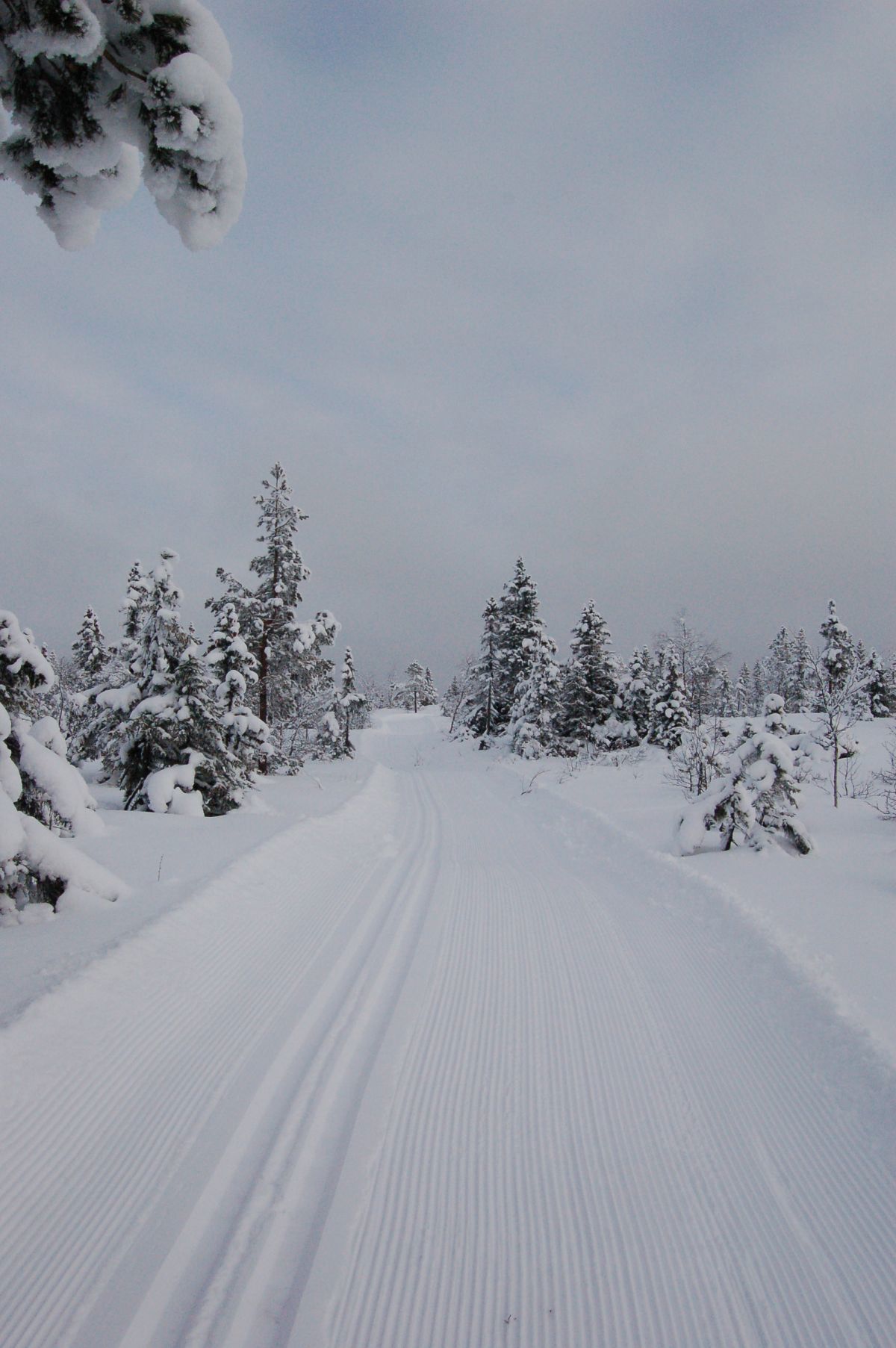 Rundløypa på Bislingen