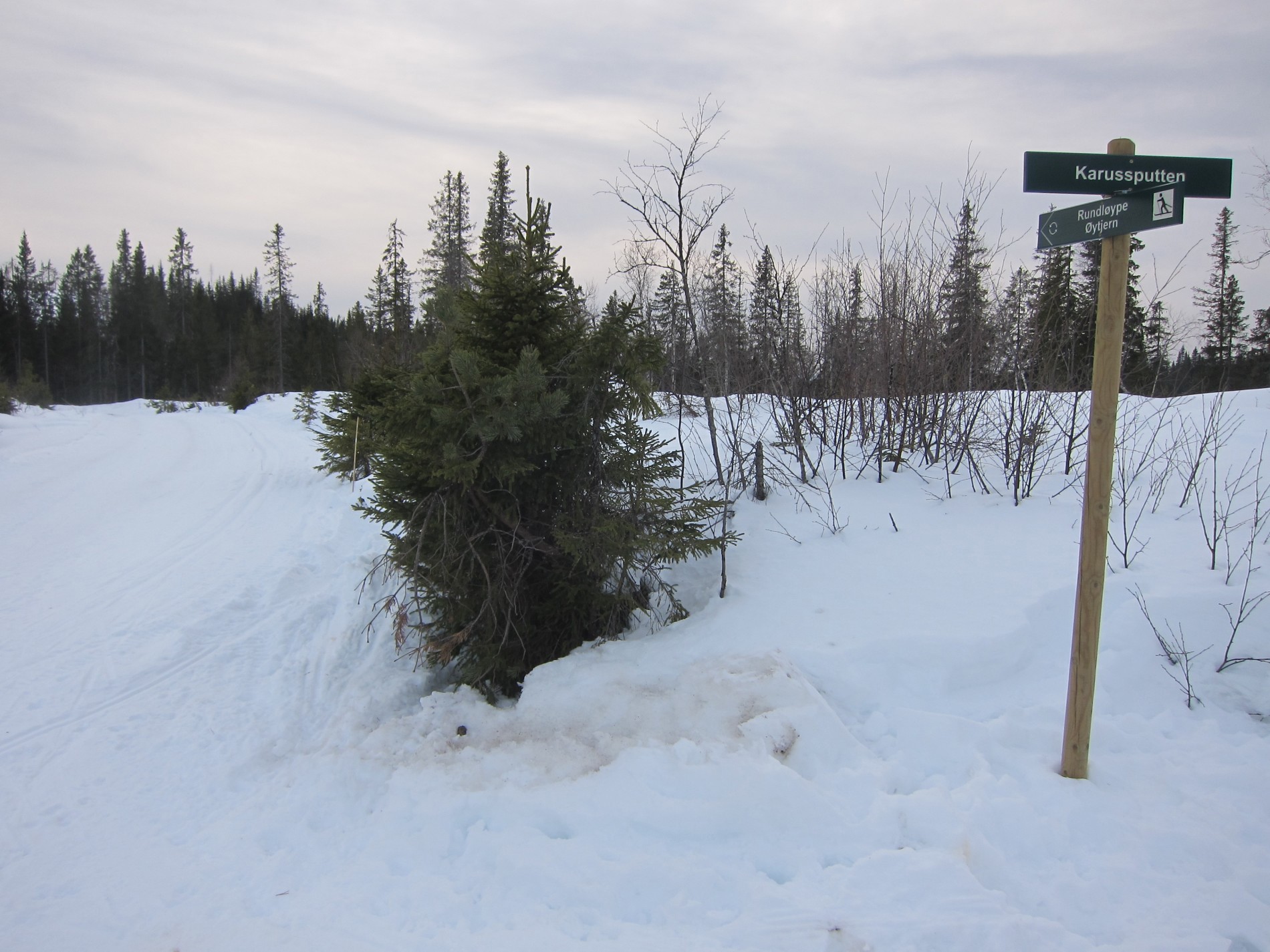 Rundløype ved Karussputten