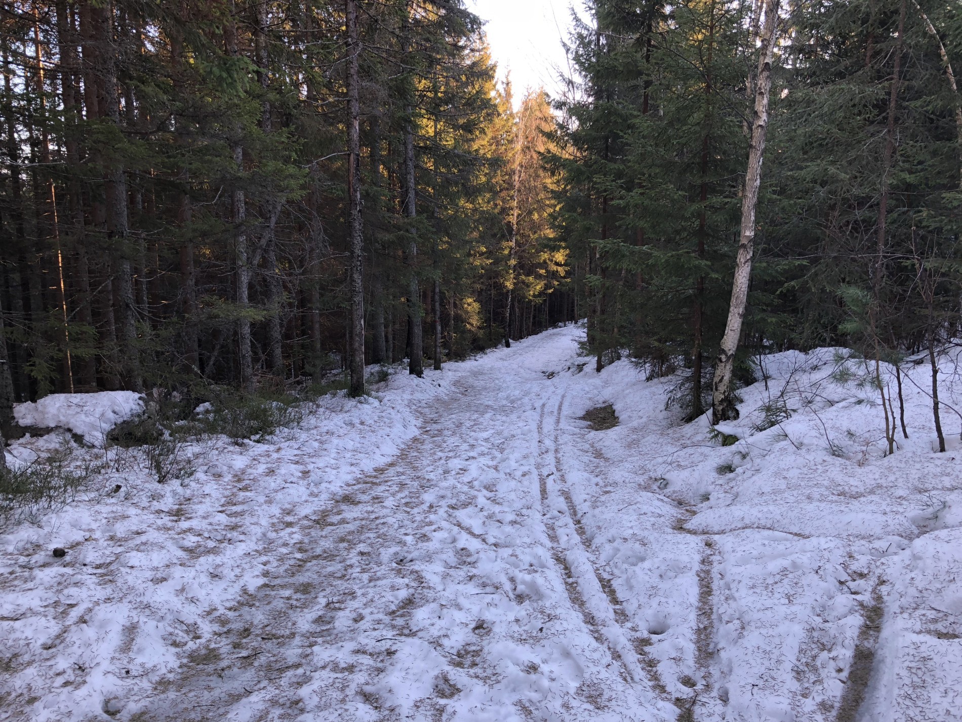 Ruskete løype fra Skåltjern