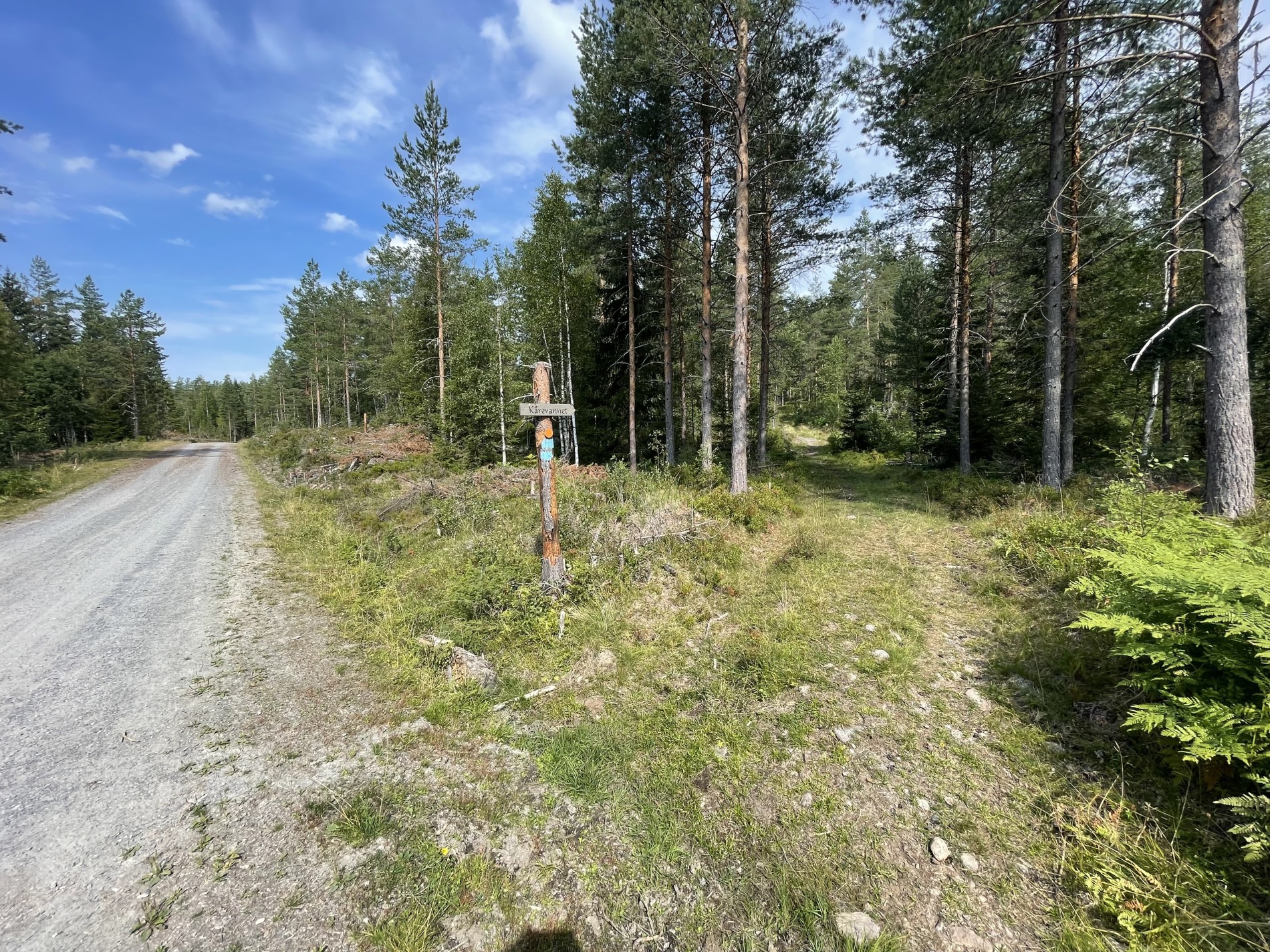 Rustanvegen til venstre, traktorvei til Kårevannet til høyre