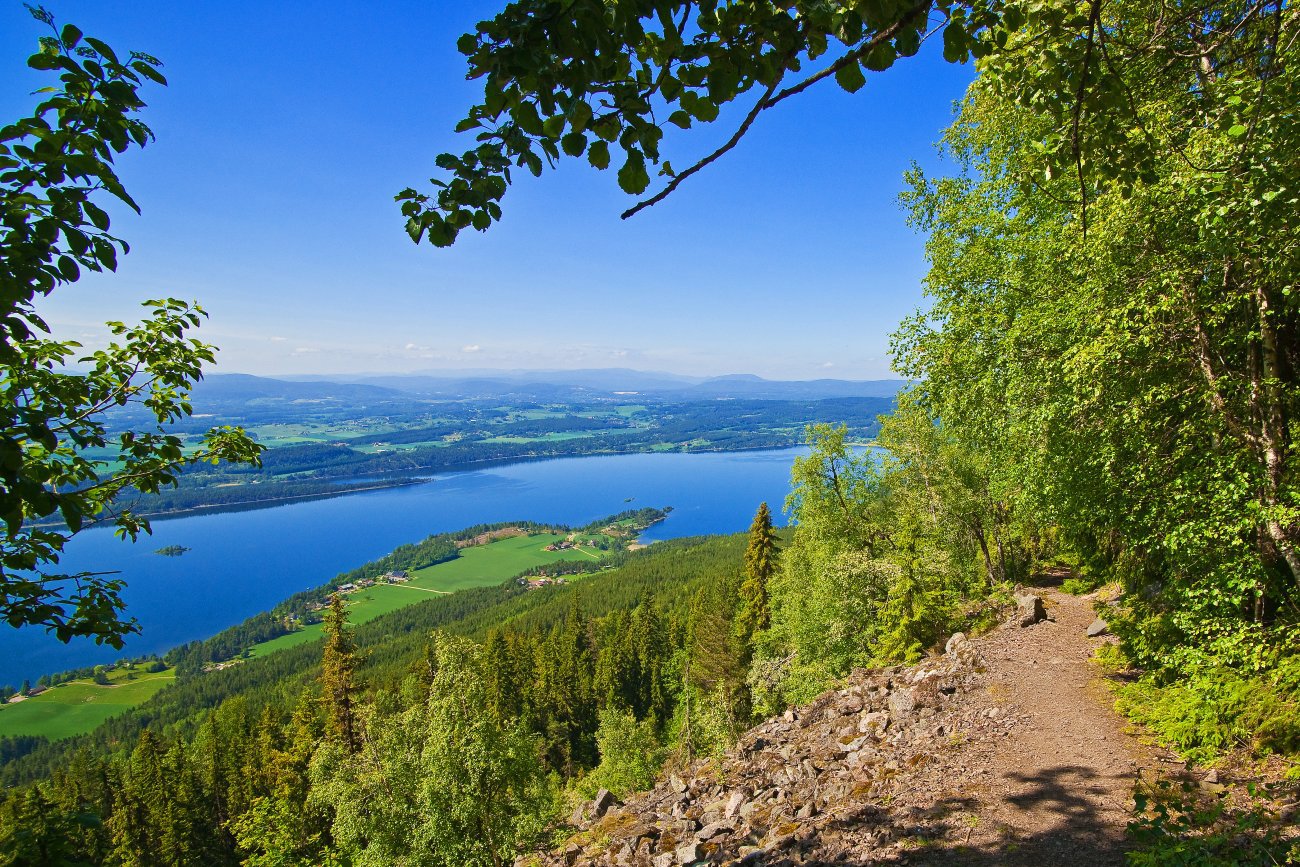 Sankthanskveld i vest