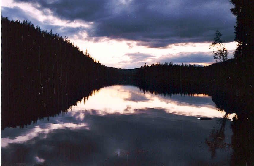 Sankthansnatt ved Spålen