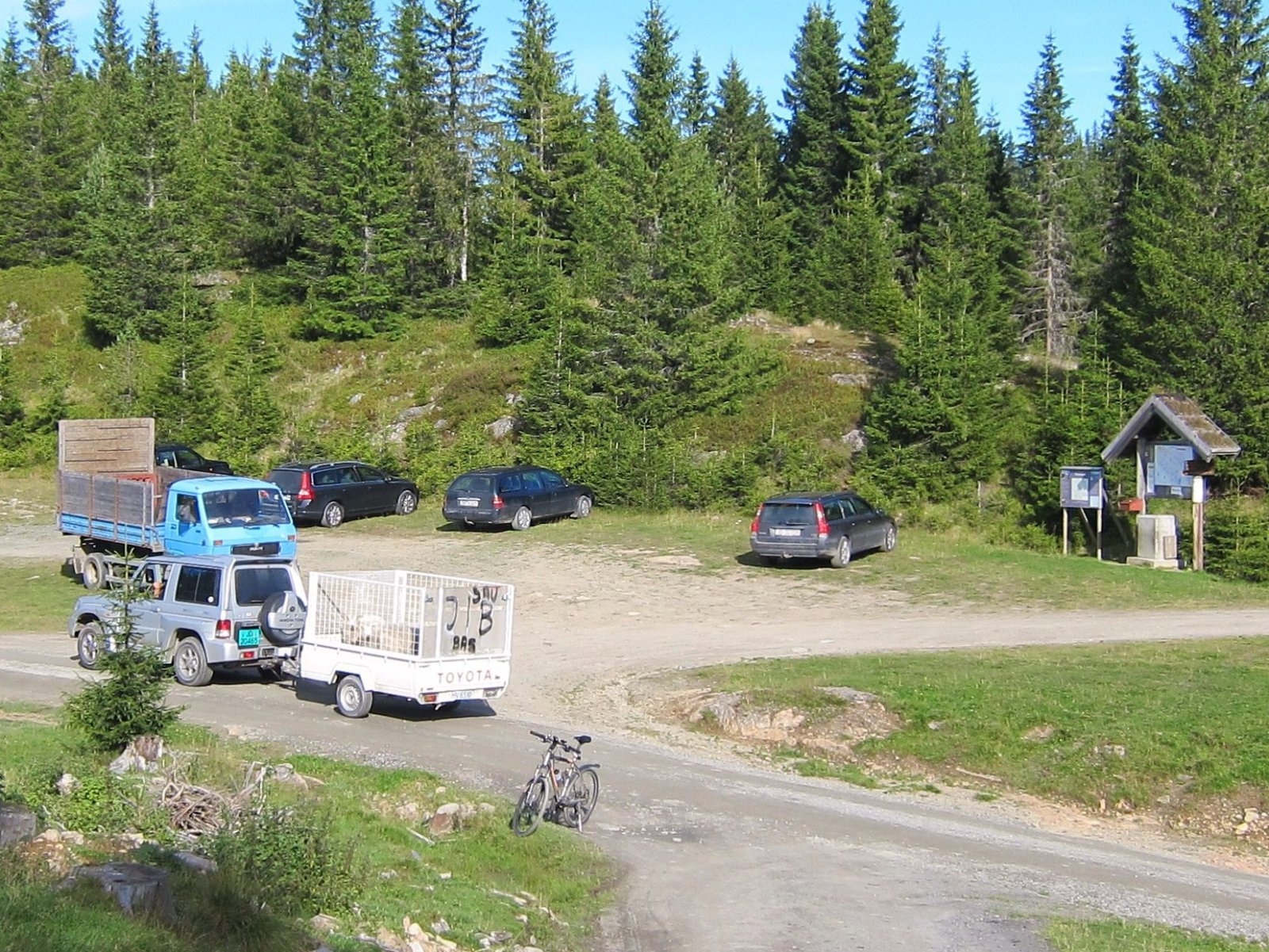 Sauesanking på Totenåsen